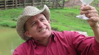 GOSTO DE UAI - O CURI&Oacute; E O POETA
