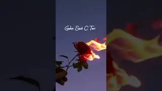 Galt soch c Teri ❤️&zwj;🩹