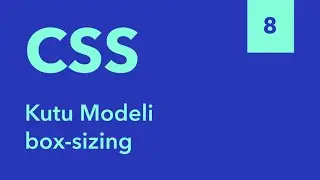 8) Kutu Modeli Nasıl Hesaplanır - Sıfırdan HTML ve CSS Eğitimi