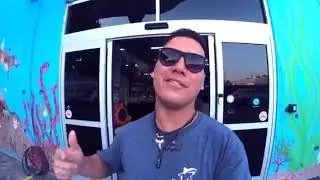 Take a Look at The Largest Tropical Fish Store in All of SoCal