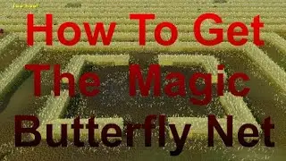 Unlocking The Magic Butterfly Net For Hunter/Croesus (Iron-Friendly)