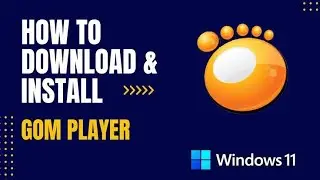Best multimedia software for pc GOM player