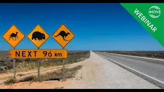 Large animal activated roadside monitoring and alerts system for vehicles