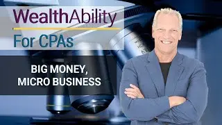 Big Money, Micro Business &ndash; Tom Wheelwright & Elaine Pofeldt &ndash; WealthAbility for CPAs #90