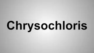 How To Pronounce Chrysochloris