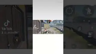 tdmNO1