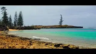 Snorkelling in Norfolk island (Emily bay)