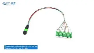 Fanout Patch Cord MPO/APC-LC/APC OS2 SM