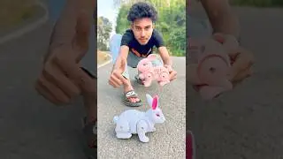 Remote Control Mini Rabbit & Big Rabbit 🐇 Unboxing