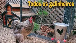 galinheiros do criatorio/ tour pela criação