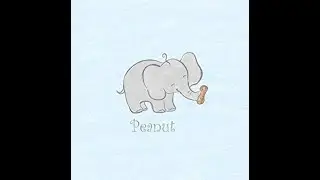 Very Important video: Subscribers please watch.