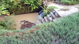 MANCING TARGET WADER TAPI TIDAK SESUAI HARAPAN !! SEPANJANG SUNGAI DI PENUHI ANAKAN UCENG