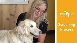 Hand in Paw Screening Process