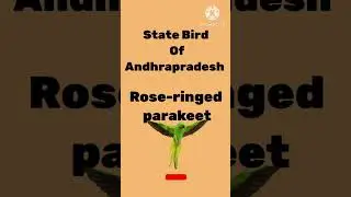 State Bird Of Andhra Pradesh #2023 #quiz #quote #english@praveenp6077#General knowledge