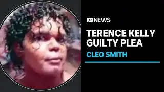 Terence Darrell Kelly pleads guilty to kidnapping four-year-old Cleo Smith | ABC News