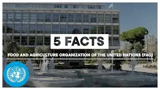 FAO 5 Facts | United Nations