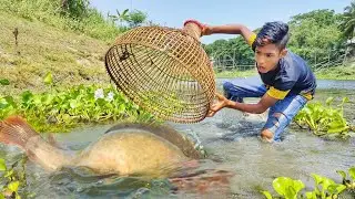 Amazing polo fish trap ~ smart little boy catching fish by polo in beautiful natural #catchingfish