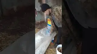 Qoqon  drobilkalari  unversal  90 564 93 23 77 7059323 