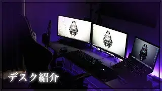 デスク周りの紹介【レイジーのお部屋】