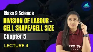 Division of Labour - Cell Shape & Cell Size -The Fundamental Unit of Life- Ch 5 | L4 |Class9 Biology