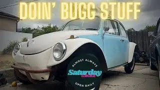 EXTINCTION Be Damned!!  Why VW's Beetle Could SAVE THE HOBBY!