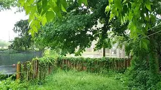enjoy 18 minutes of Rain in my Back Yard. Utica NY June 01 2022