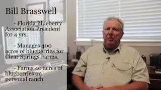 Orchard Rite Frost Protection Blueberry-  Brasswell