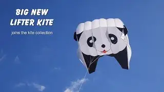 Big new Panda lifter kite - and an Eagle gets some unwanted attention