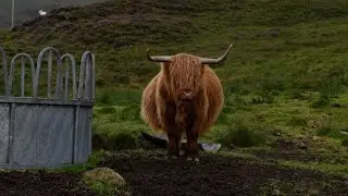 Travel Scotland | Spec Ad (2024)