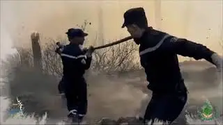 ومضة تحسيسية حول خطر حرائق الغابات