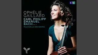 Piccolo Cello Sonata in D Major, Wq. 137: I. Adagio, ma non tanto