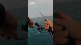 EMERALDAS BOAT Rod || DAIWA