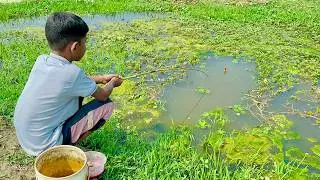 Amazing Unique Hook Fishing Technique Form Canal Village Boy Hunting Catch Fish By Hook in Canal