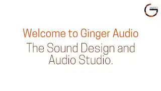 Ginger Audio - Introduction