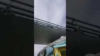 Royal Caribbean Oasis of the Seas sailing under Veranzzano Bridge #shorts #royalcaribbean