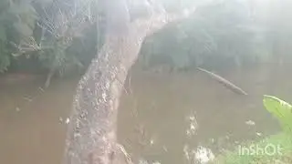 ಮುಸ್ಸಂಜೆ ಯಲ್ಲೊಂದು ನಡಿಗೆ...