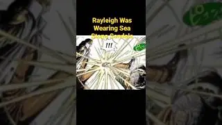 #onepiece #Rayleigh Was Wearing SeaStone Sandals #theory #viral #shorts #subscribe