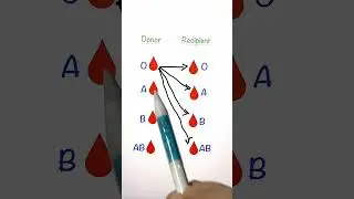Sender and Receiver