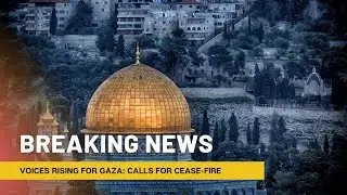 Voices Rising for Gaza: Global Call for an Immediate Cease-Fire