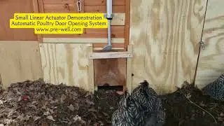 Small Linear Actuator Demonstration  Automatic Poultry Door Opening System #linearactuator