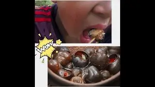 Primitive Technology - Find and cooking Snail - ốc luộc|Primitive HK