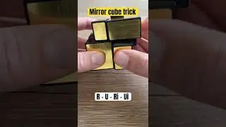 2x2 cube trick | mirror cube | #cubingshorts
