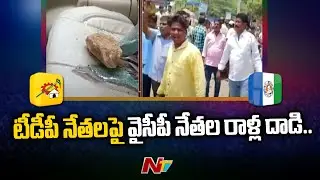 Co-Operative Milk Society Elections : TDP-YCP leaders clash | NTV