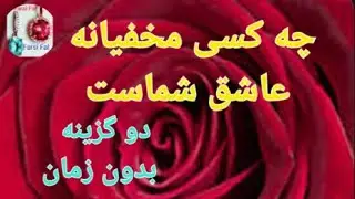 🔴چه کسی مخفیانه عاشق شماست 🔴 دو  گزینه 🌹 @farsifal