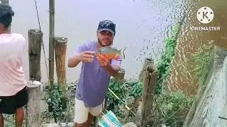 N fishing s video cetfish mergel fish fulood fishing video revar fishing video|#nfishings