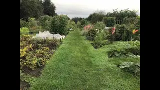 Middlewick Allotments August 2021   SD 480p