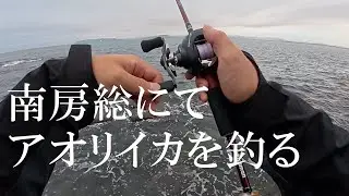 千葉房総半島ベイトエギング（とシーバス）巡り。2025年10月下旬