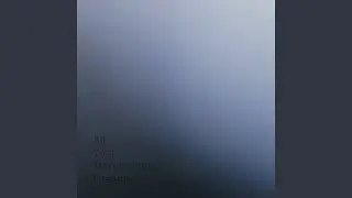 Simulationism