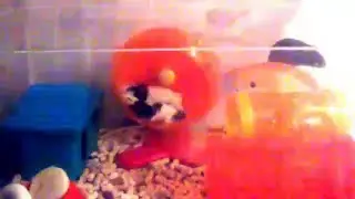 VID 20151210 205224