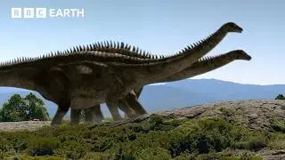 Dinosaur Courtship That Could Break Bones | Walking with Dinosaurs (1999) | BBC Earth